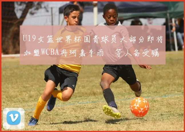 U19女篮世界杯国青球员大部分即将加盟WCBA冉珂嘉李雨汧等人备受瞩目
